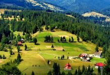 Proiectul interinstituţional ,,Cenaclul ARTE-Constantin Brâncuşi’’, demarat la Galeriile Municipale de Artă din Târgu-Jiu