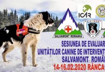 Unitățile canine de intervenție în avalanșă se întâlnesc la Rânca