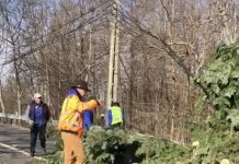 Brazi doborâți de vânt la Peștișani!