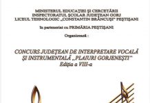 Concurs muzical judeţean, la Peştişani