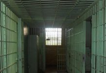 Tânărul fără permis, prins de poliţişti cu focuri de armă, pus în libertate