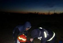 Ied salvat de pompieri, după ce a căzut într-o fântână adâncă de 10 metri din Scoarța