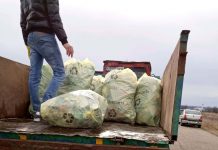 Drumul dintre Colibași și Bobu, igienizat voluntar de angajații primăriei și câțiva salariați de la 416