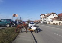 Târgujiancă ce transporta haine vechi, amendată de Poliția Locală Târgu Jiu