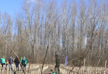 Comunicat de presă Regia Națională a Pădurilor