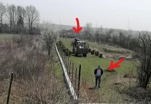 Ce face primarul de Drăguțești în timpul stării de urgență? Folosește utilajele primăriei pe terenul său