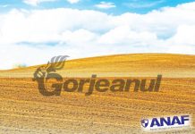 Păşuni şi terenuri arabile, vândute la preţuri infime de Finanţele din Gorj