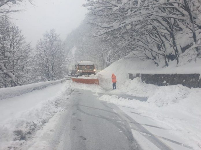 WhatsApp Image 2020-03-23 at 15.57.16