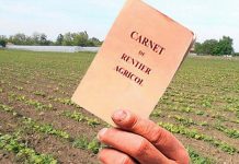 Rentierii din Gorj, aşteptaţi la sediul APIA pentru vizarea carnetelor