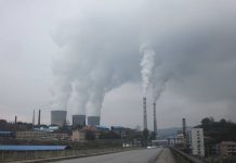 Ordonanța pentru CEO, adoptată de Senat