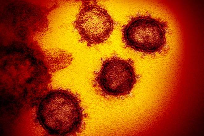coronavirus