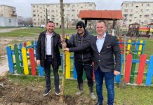 Sute de copaci, plantaţi la Rovinari! Amplă campanie, continuată de primarul Robert Filip