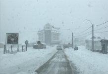 Zăpadă de un metru la Rânca!