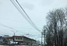 Un bărbat a leșinat pe trecerea de pietoni, la Piaţa Centrală! Martori: Nu mișca!