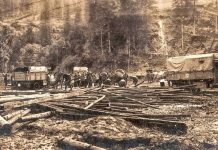 Veteranul de război plt. (rtr.) Bușe C. Gheorghe, tatăl meu, eroul meu – Episodul 15