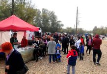 Audiențe suspendate la primării. Târgul din Motru, închis!