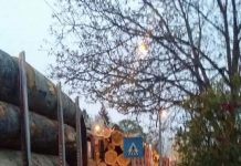 Transport masiv de lemn prin Târgu-Jiu! Azi, lângă unitatea militară
