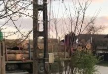 VIDEO: Pandemia a transformat drumurile Gorjului în rute nesupravegheate pentru cărăușii de lemne