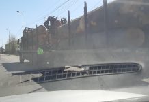 Poliția s-a pus pe treabă la Târgu-Jiu, măcar îi întrebă ceva pe transportatorii de lemne