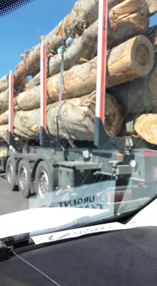 93579626_3679531442120818_3151190884867899392_n