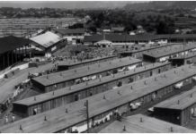 Veteranul de război plt. (rtr.) Bușe C. Gheorghe, tatăl meu, eroul meu – Episodul 17 – Prizonieratul 4