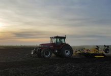 Agricultura pe înțelesul tuturor – Pregătirea patului germinativ în primăvară ploioasă