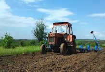 Agricultura pe înțelesul tuturor – Semănatul corect al porumbului