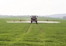 Agricultura pe înțelesul tuturor – Ierbicidarea cerealelor păioase în primăvară ploioasă