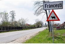 Internet gratuit în comuna lui Brâncuși