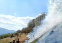Incendiile distrug pădurile Gorjului. Suntem în top 3!