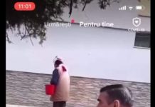 Amendă de 1000 de lei pentru ,,lecția” civică a lui Limbă!