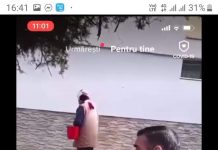 Video: ,,Limbă” a dat dovadă de simț civic! Polițiștii l-au amendat