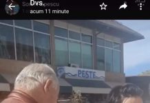 Video: Scandal în Piaţa Centrală, patronii unei carmangerii îi fac șpăgari pe inspectorii DSV