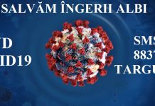 Peste 270 de euro, deja strânși prin campania sms ”Salvăm Îngerii Albi”