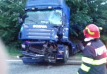 Un tir a lovit mortal o căprioară, la Scoarța
