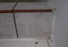 Video: Carantinați ,,serviți” cu goange și ploșnițe! La Pensiunea Golden din Târgu-Jiu, centru de carantină acreditat de DSP