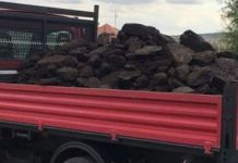 Patru tone de cărbune, confiscate de polițiști
