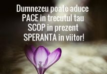 Educaţia…şi Lecţia de viaţă – Cei mai mulți dintre noi împart omul în trup și suflet, dar, trebuie adăugată și mintea omului!