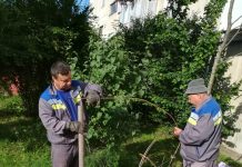 Lucrări la rețeaua de canalizare din Rovinari