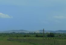 Vântul face probleme în zona Turceni