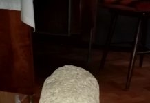 Capul feminin de statuie, bun de patrimoniu național, a ajuns la Muzeul Județean Gorj! Obiectul a fost predat, de tatăl deputatului Rotaru, Direcției de Cultură