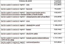APIA: S-a demarat autorizarea la plată pentru sectorul vegetal!