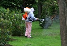 Dezinsecție la Rovinari