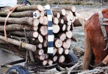 A murit strivit sub căruța de lemne