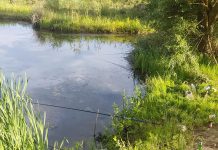 Prinși la pescuit în perioada de prohibiție