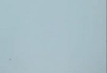 Ninsori pe Transalpina