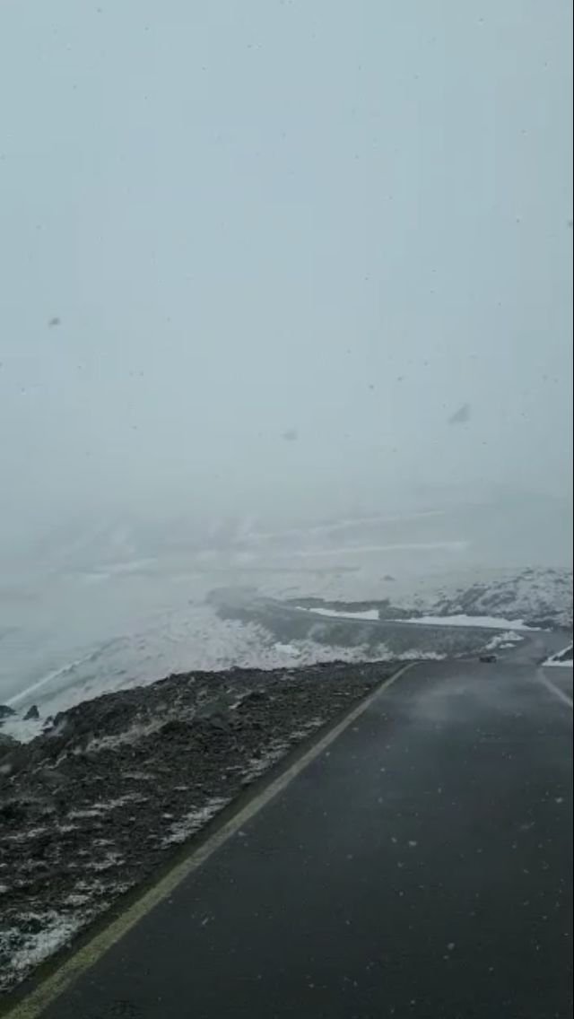 ninsoare transalpina mai 2020