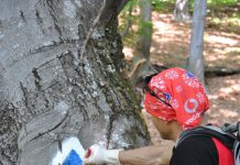 Salvamont Gorj pregătește redeschiderea traseelor turistice din județ