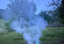 Dumitrașcu, director Salubris Gilort: Containerul a căzut din mașina firmei, salariatul nu trebuia să îi dea foc!