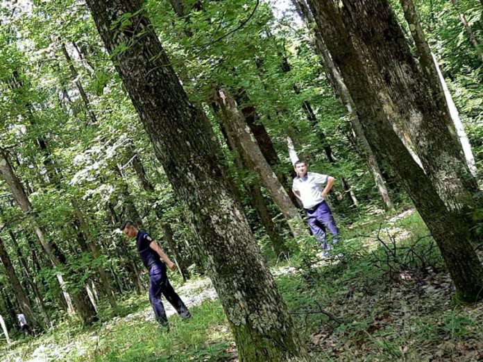 104879807_284367782754822_1353676214524014102_n